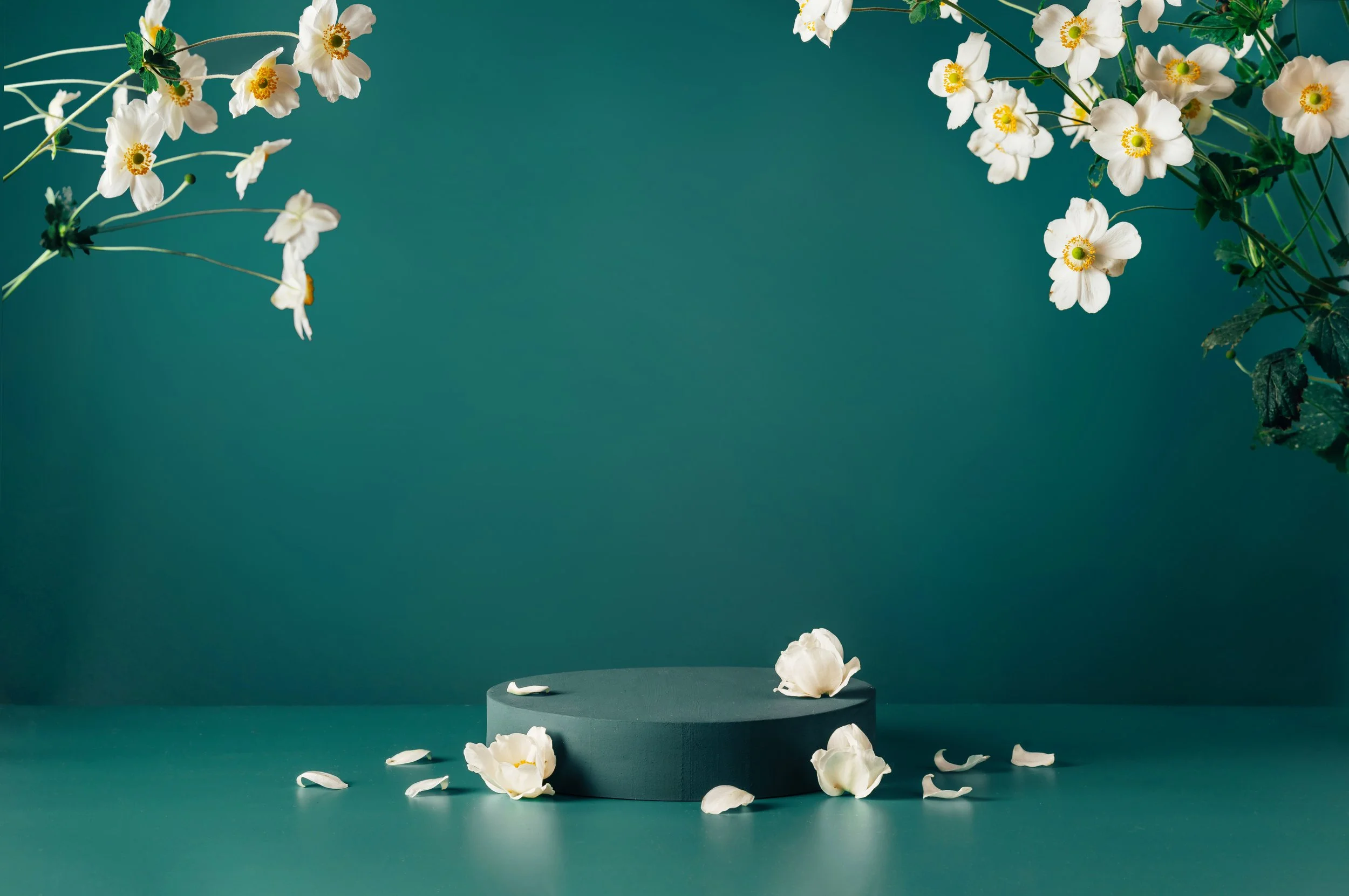 Podium_And_Flowers_In_Dark_Teal_original_1301584.jpg