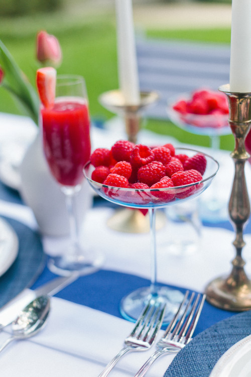 design-darling-fourth-of-july-raspberry-coupes-500x750.jpg