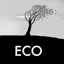 eco 1.jpg