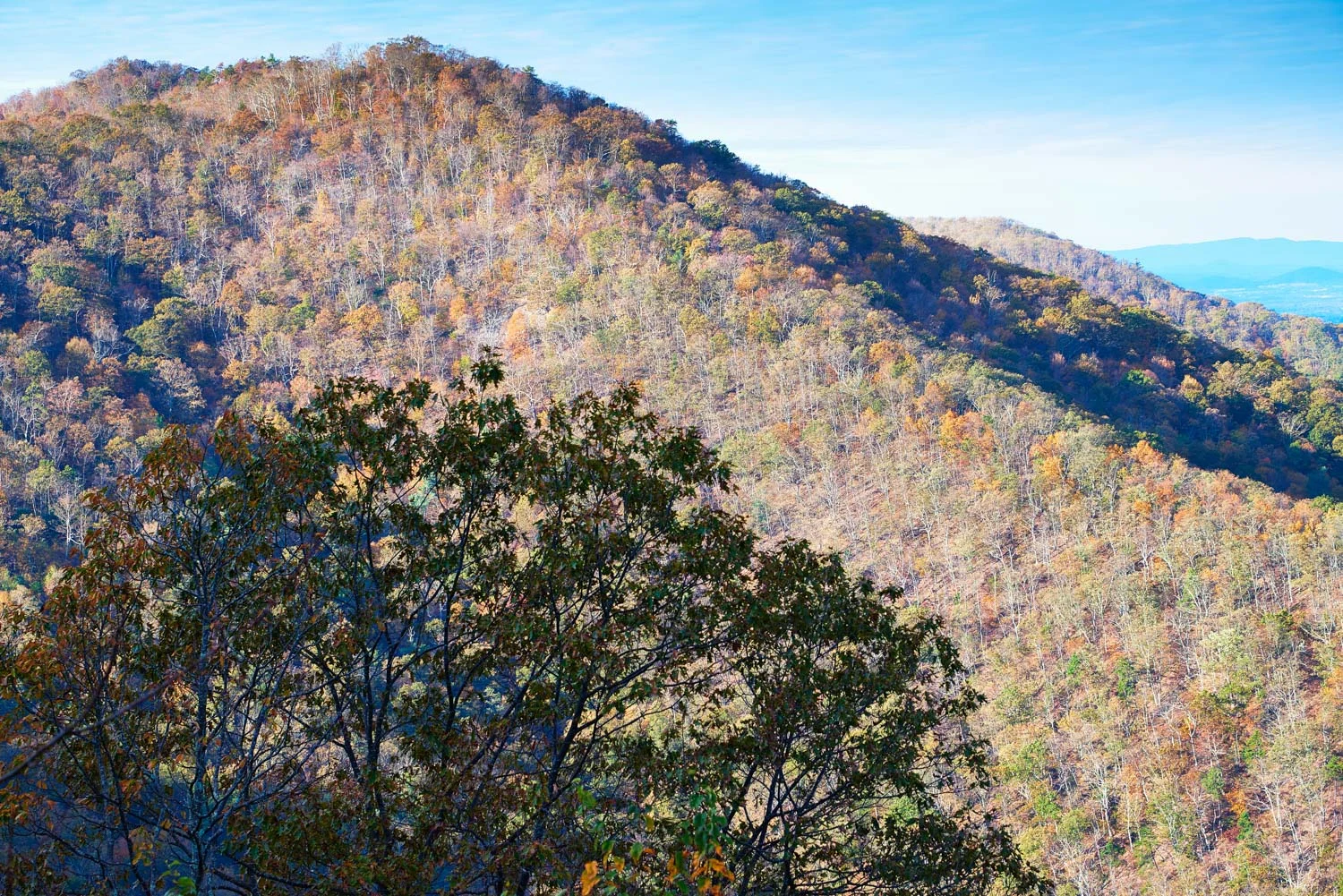 shenandoah-ridge-01