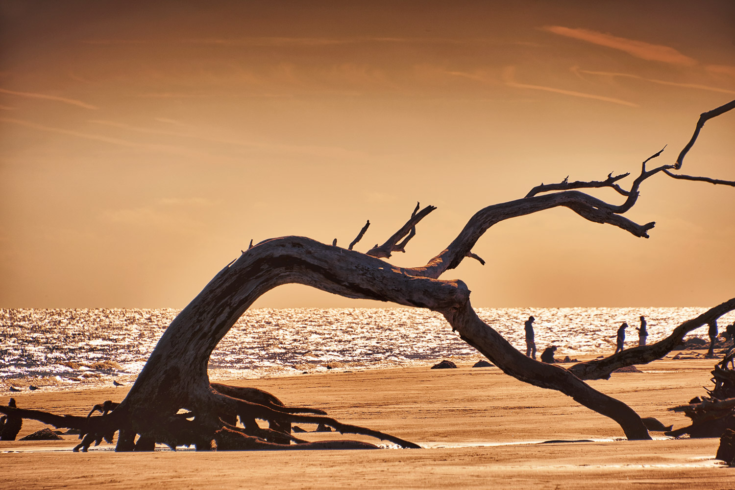 jekyll-island-beach