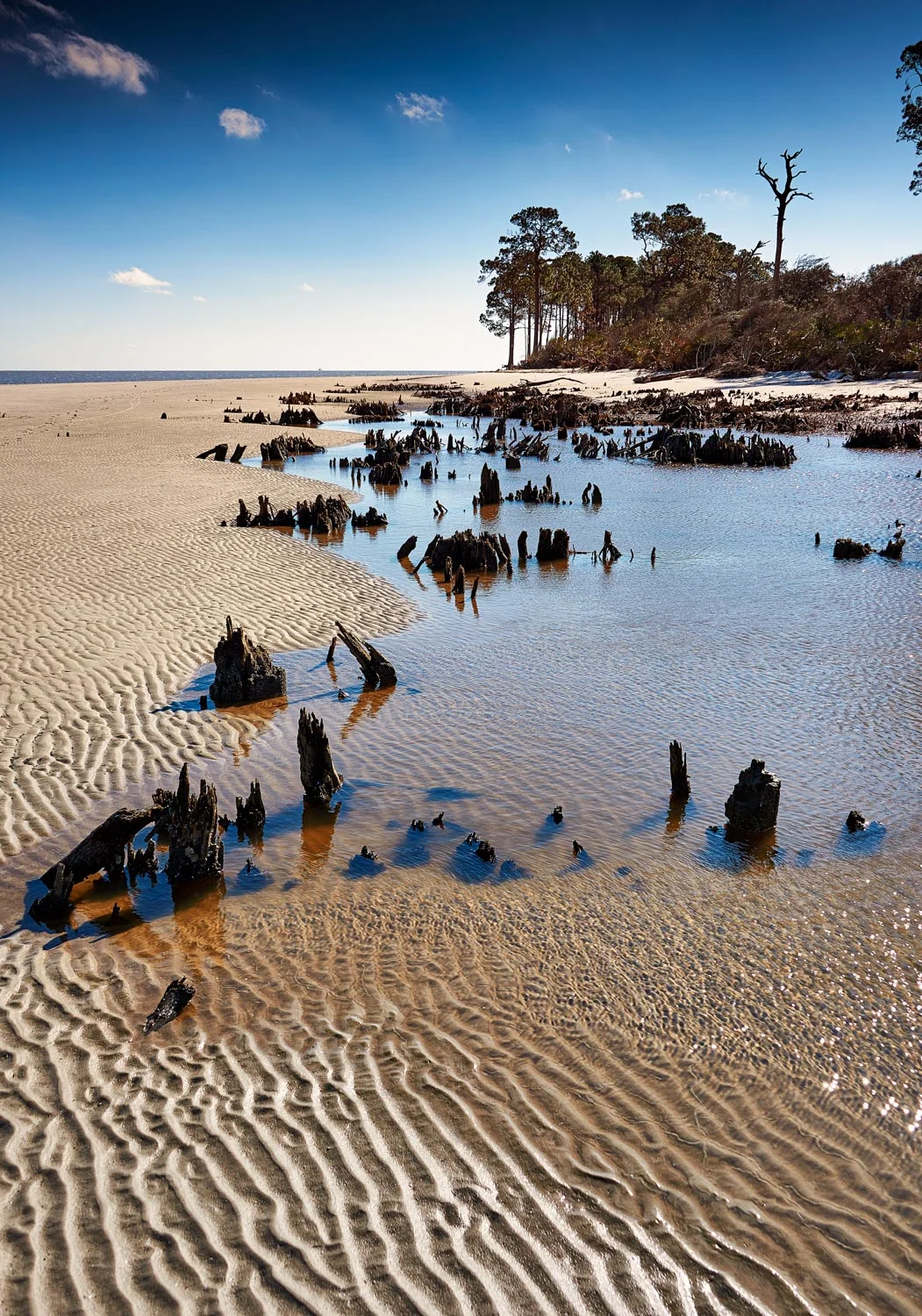 jekyll-island-beach