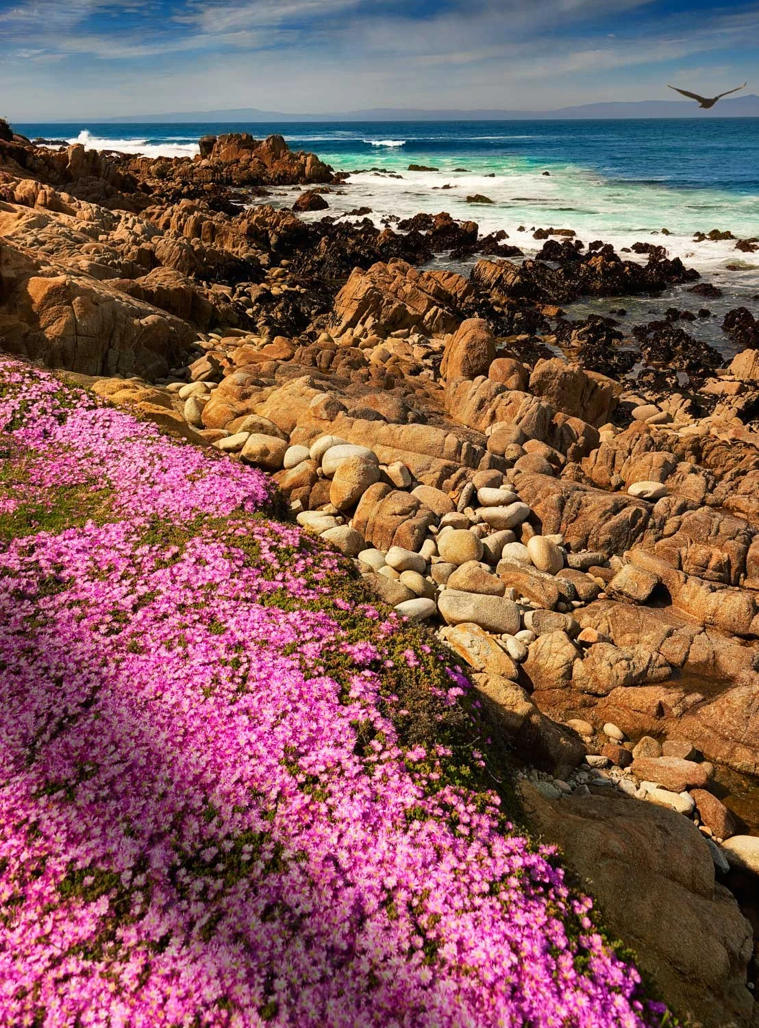dsc9381 Monterey CA
