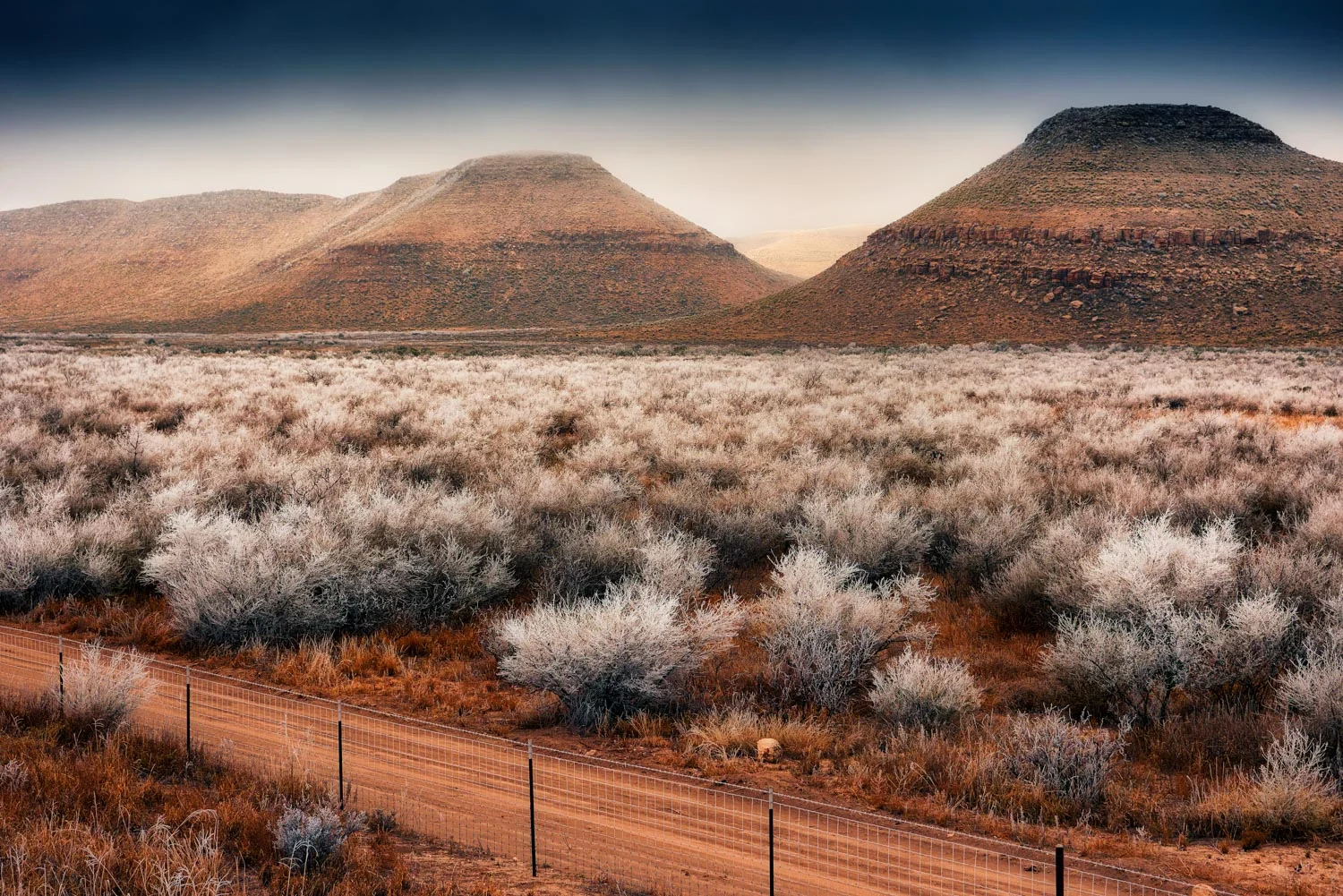 dsc8625-Marfa-TX