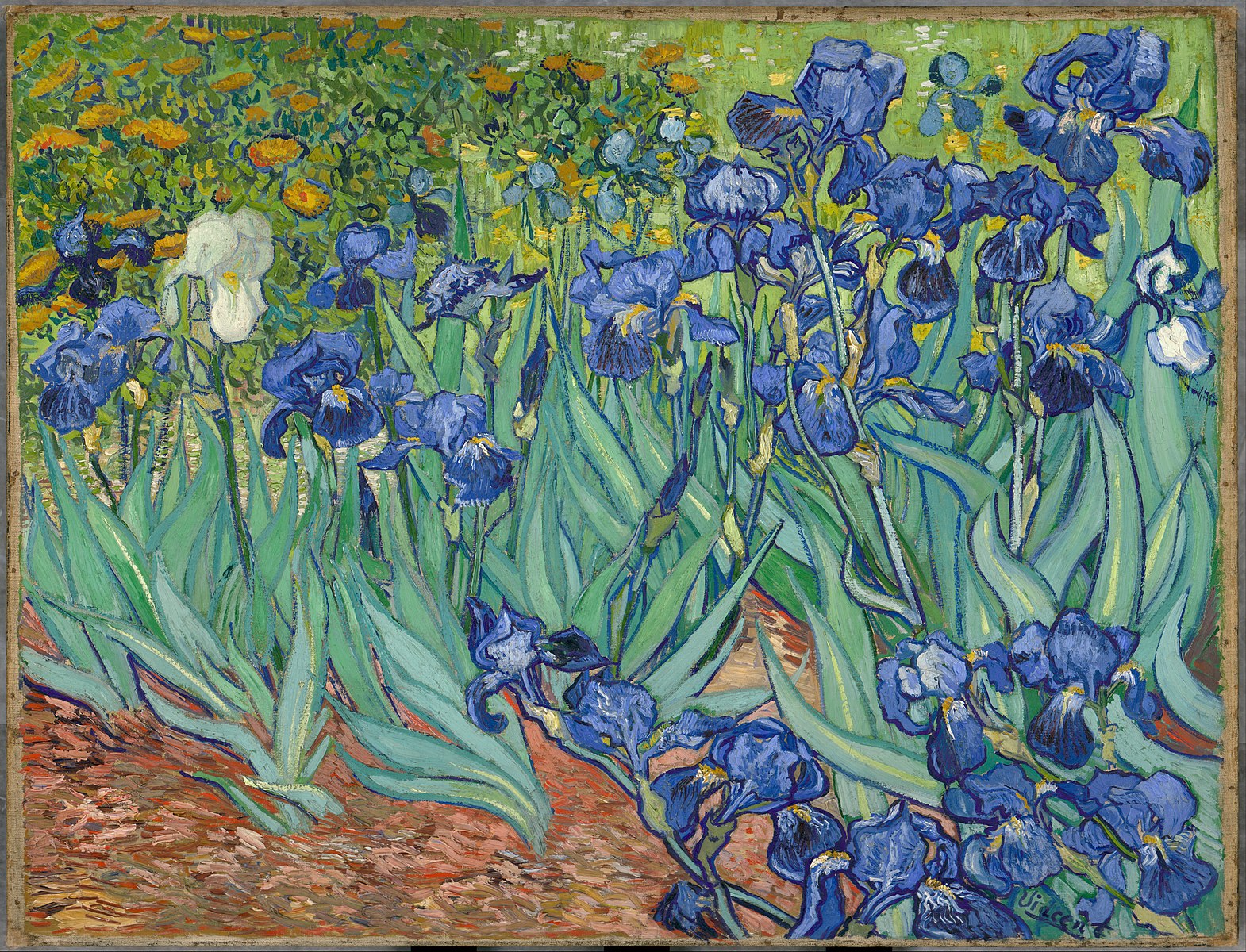Vincent Van Gogh. 1889. Irises. Oil on canvas. 