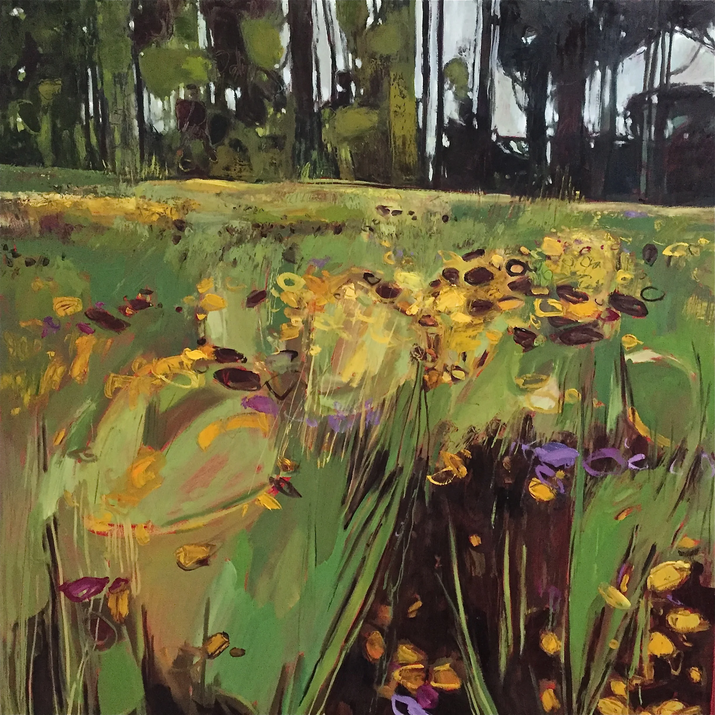 Christchurch Meadow with Sunlit Hedge