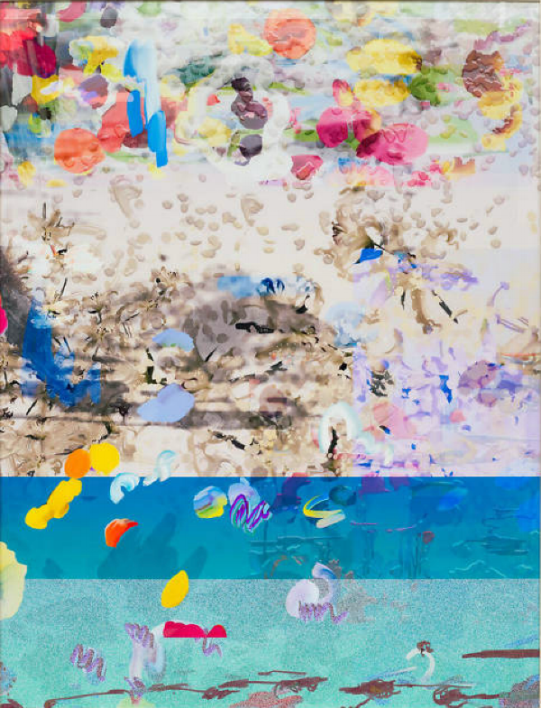 Cortright's dss hack_“l’histoire de la sociologie”_sexual psychology (2018) © Petra Cortright and Nahmad Projects