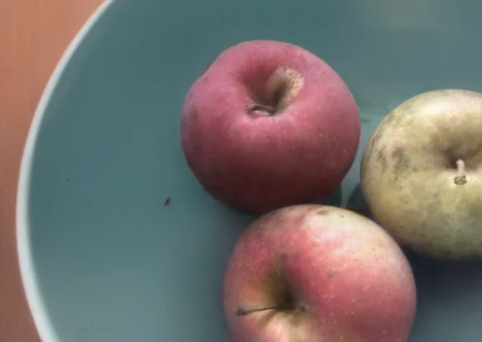 Anthony Waichulis’ Trifecta (2018)
