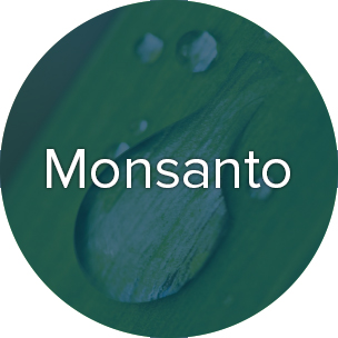 monsanto-dark.jpg