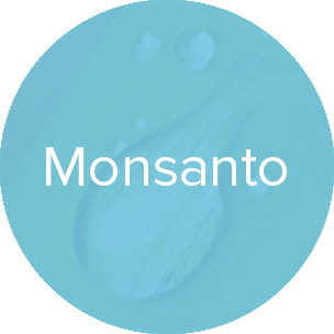 monsanto-light.jpg