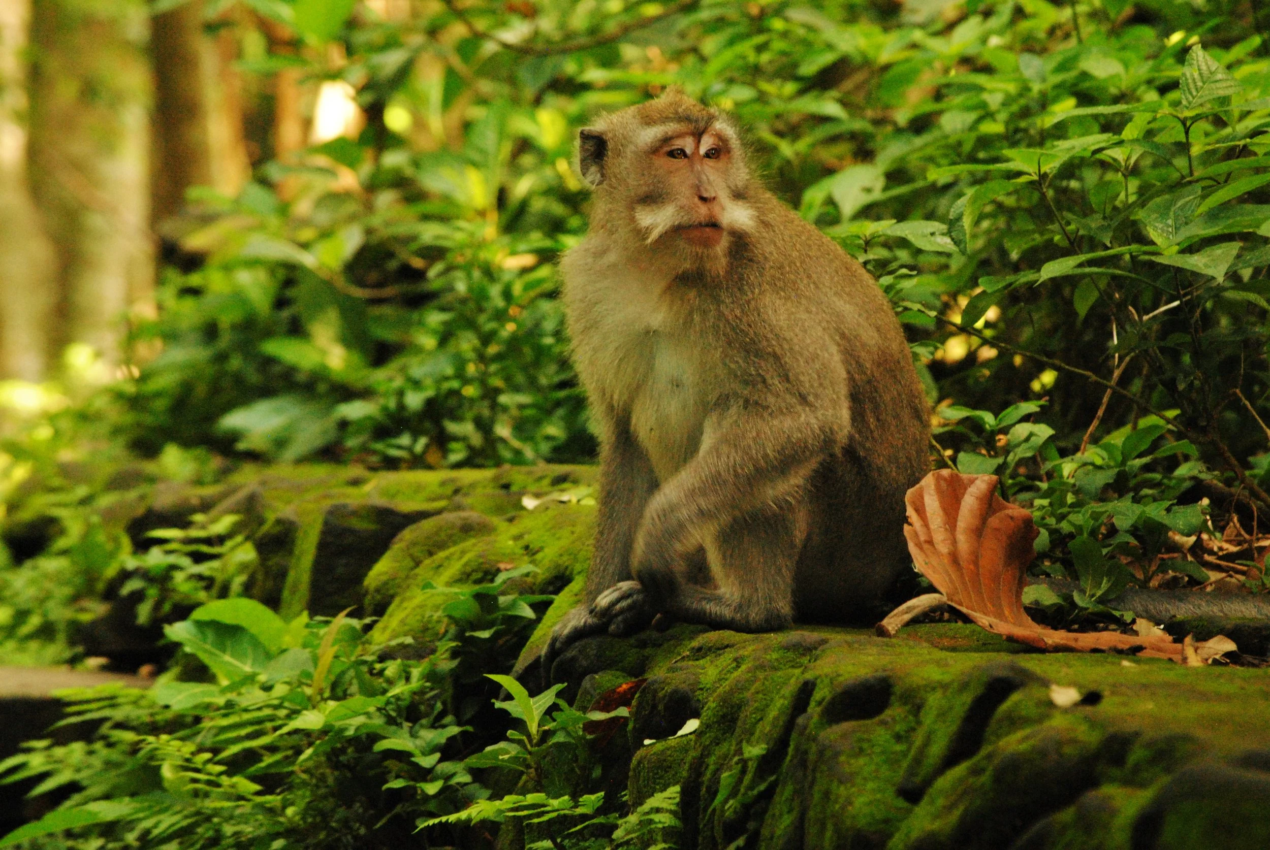 DSC_0467 (2) (2016_08_28 16_19_02 UTC).JPG