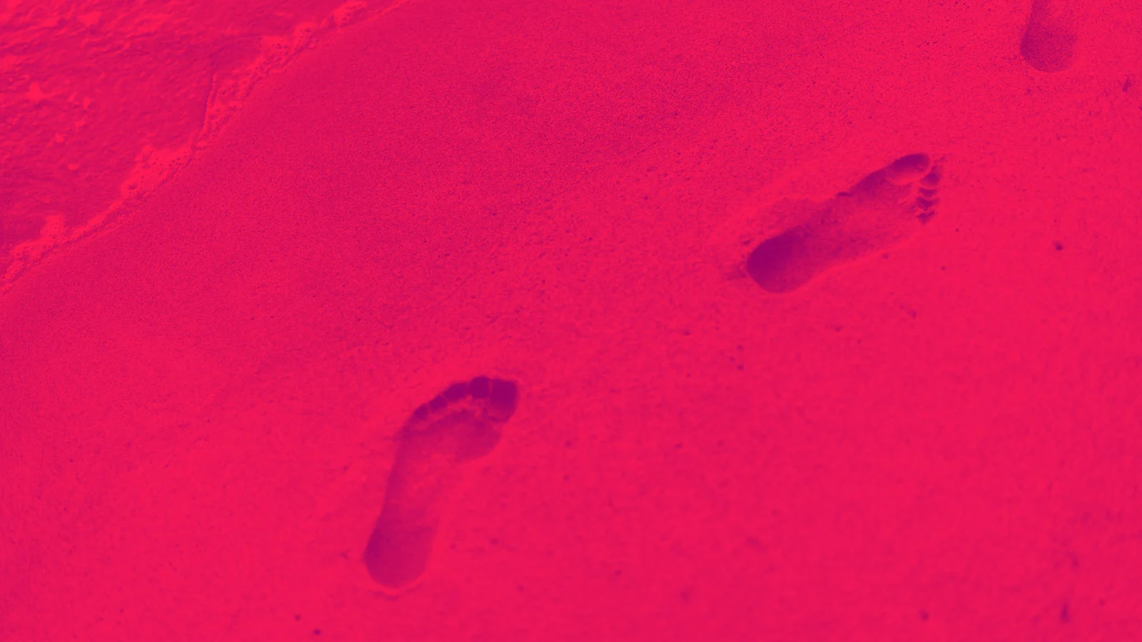 roman-kraft-279919-unsplash_Kom.jpg