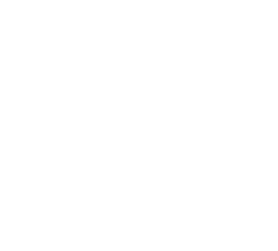 SFJFF46-Official Selection-white.png