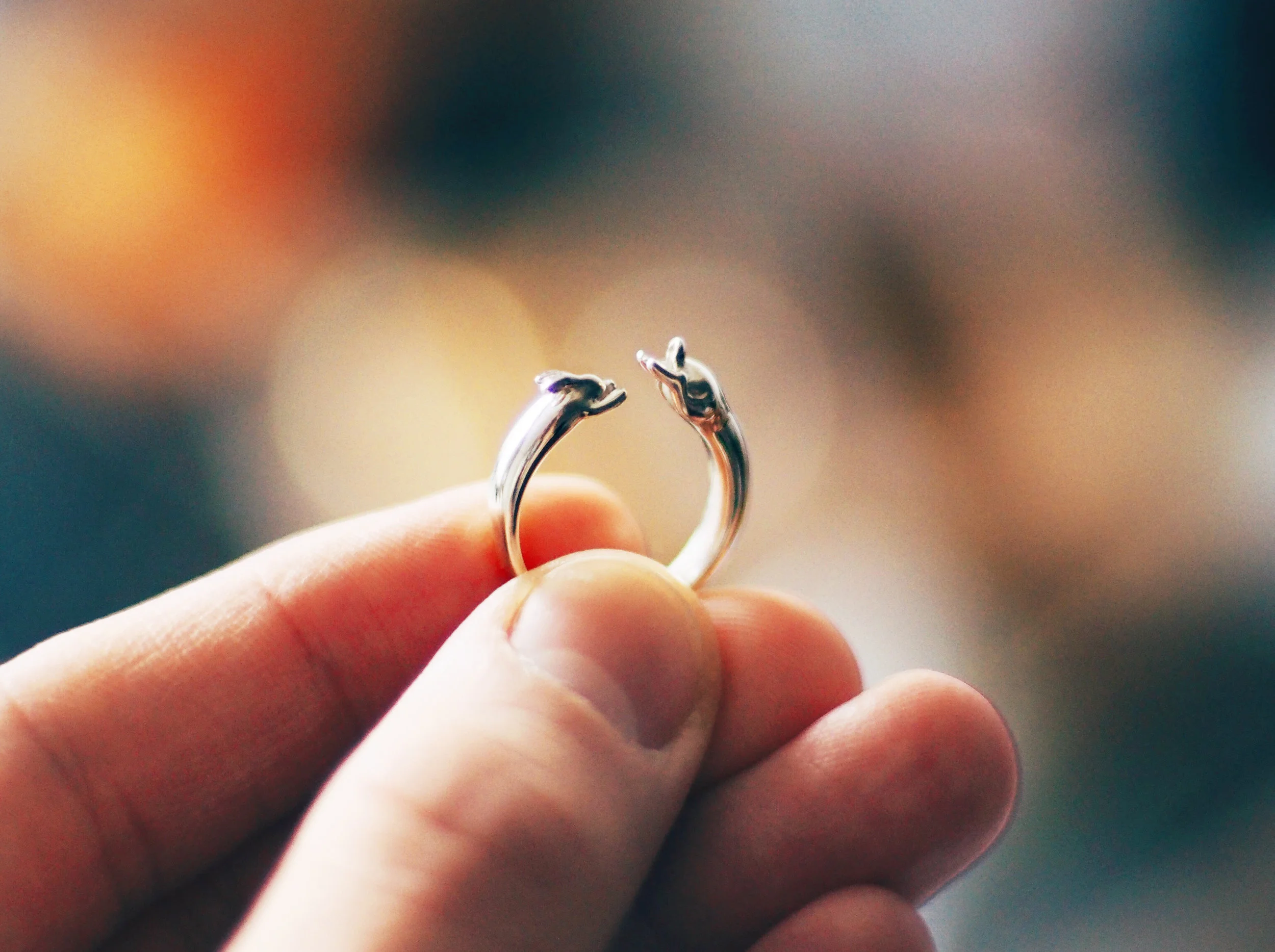 The ring is composed of two perfect circles — the interior and the rabbit's spine.