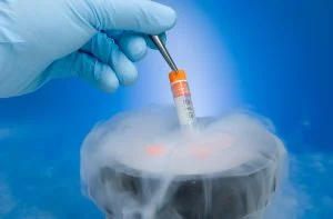 Cold Leftovers: Can A State Require That Extra Embryos Be Implanted?