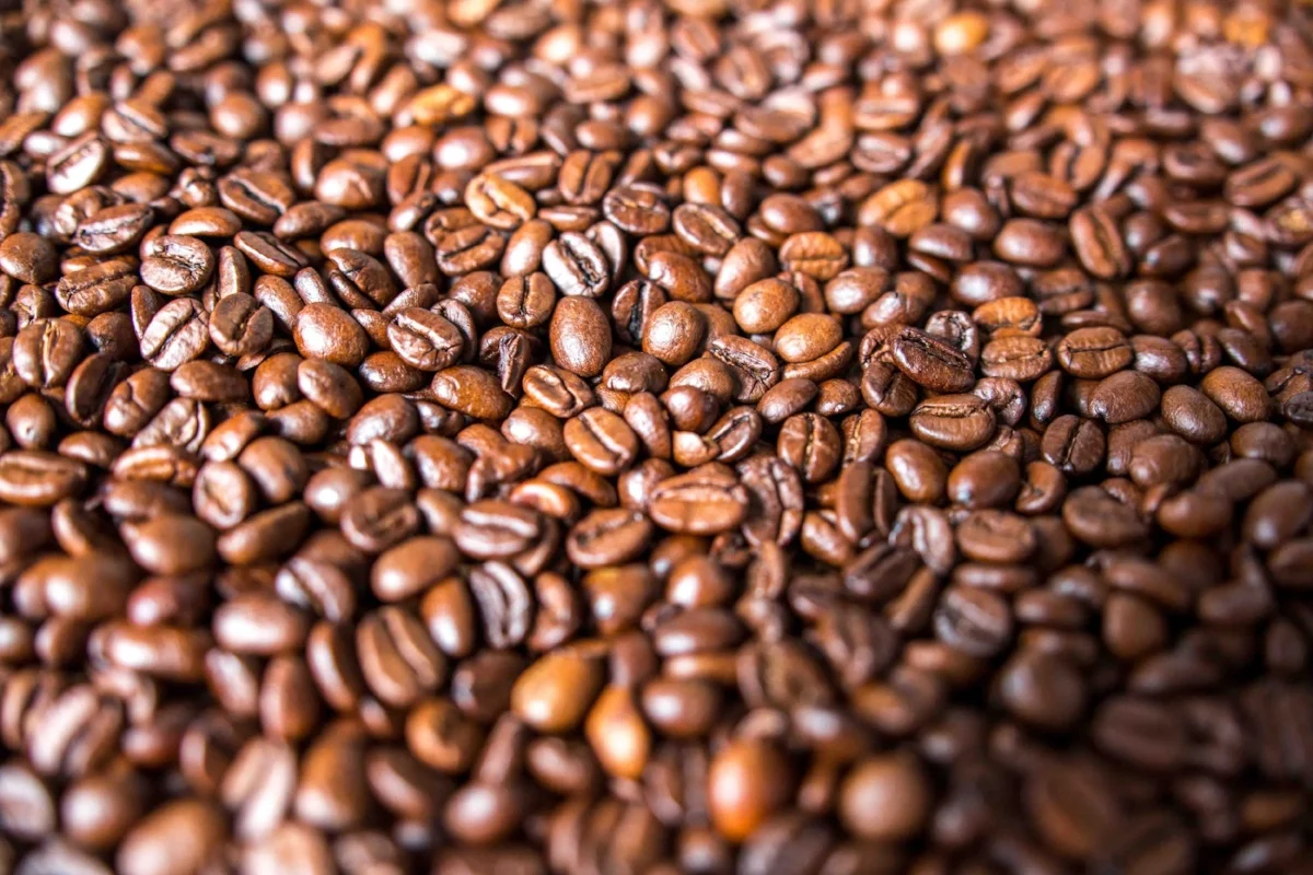 Ask Jennifer! Why do some reproductive endocrinologists have surrogates go off all caffeine?