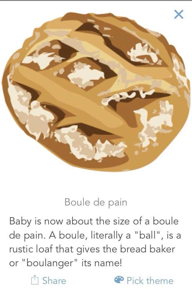 Intended Parents: Lemon or Hedgehog (or How Big Is Your Baby)?