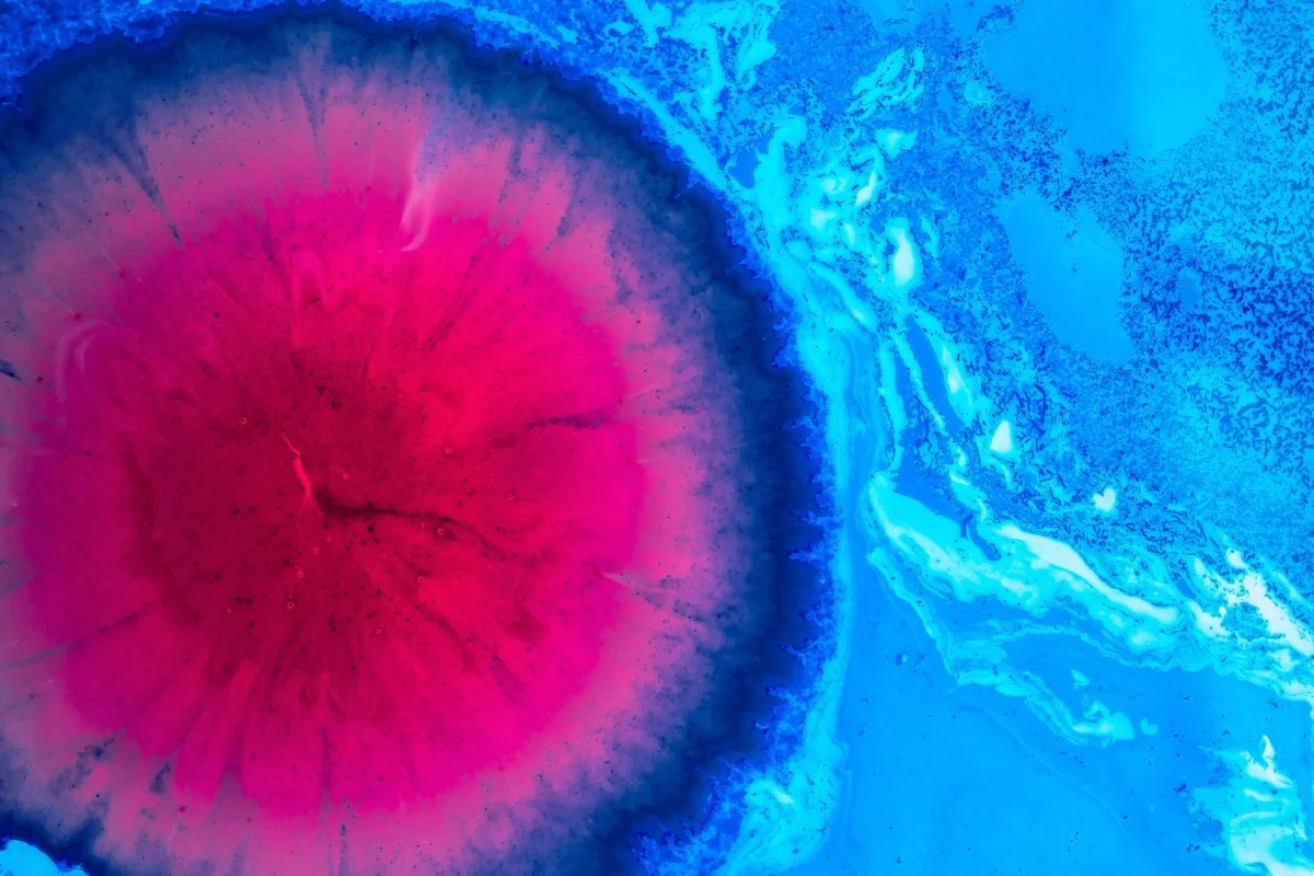 Ask Jennifer! What can IP’s do with with their leftover embryos?