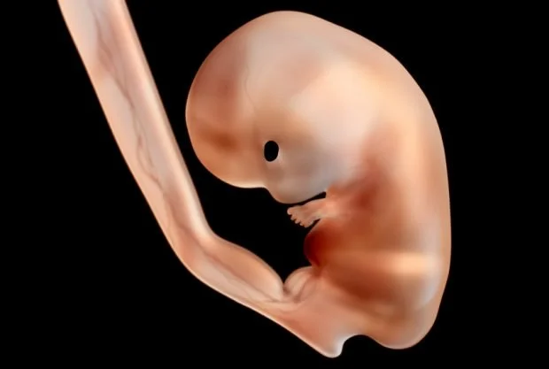 Couple Sues CT Fertility For Switching Their Embryos – It’s Time A U.S. Court Recognized Genetically Related Damages