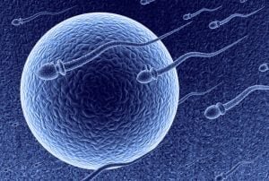 Going Through IVF? 5 Surprises To Watch Out For When Signing Consent Forms