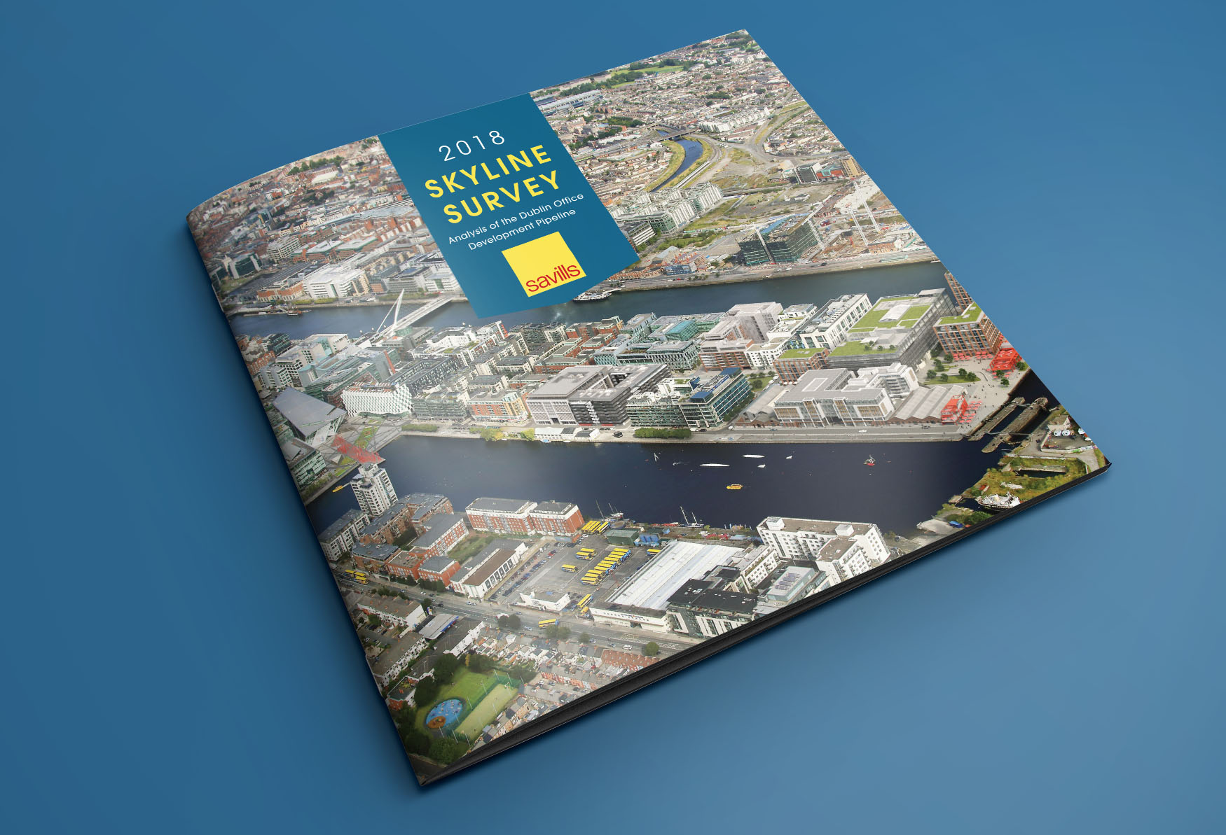 skyline survey cover.jpg