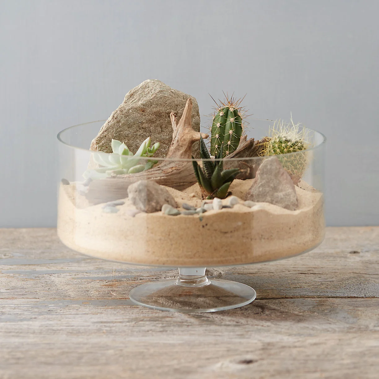 terrarium.jpeg