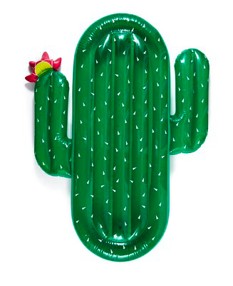 Sunny Life Luxe Cactus Pool Float