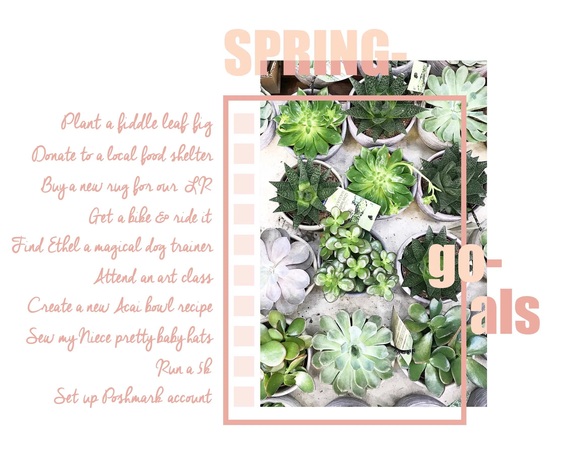Spring Goals_2018.jpg