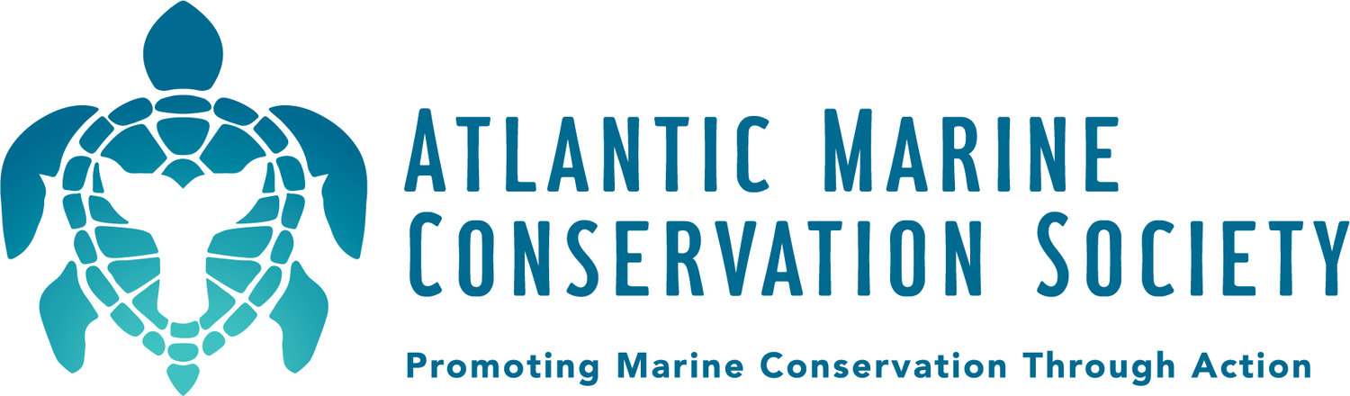 Atlantic Marine Conservation Society 