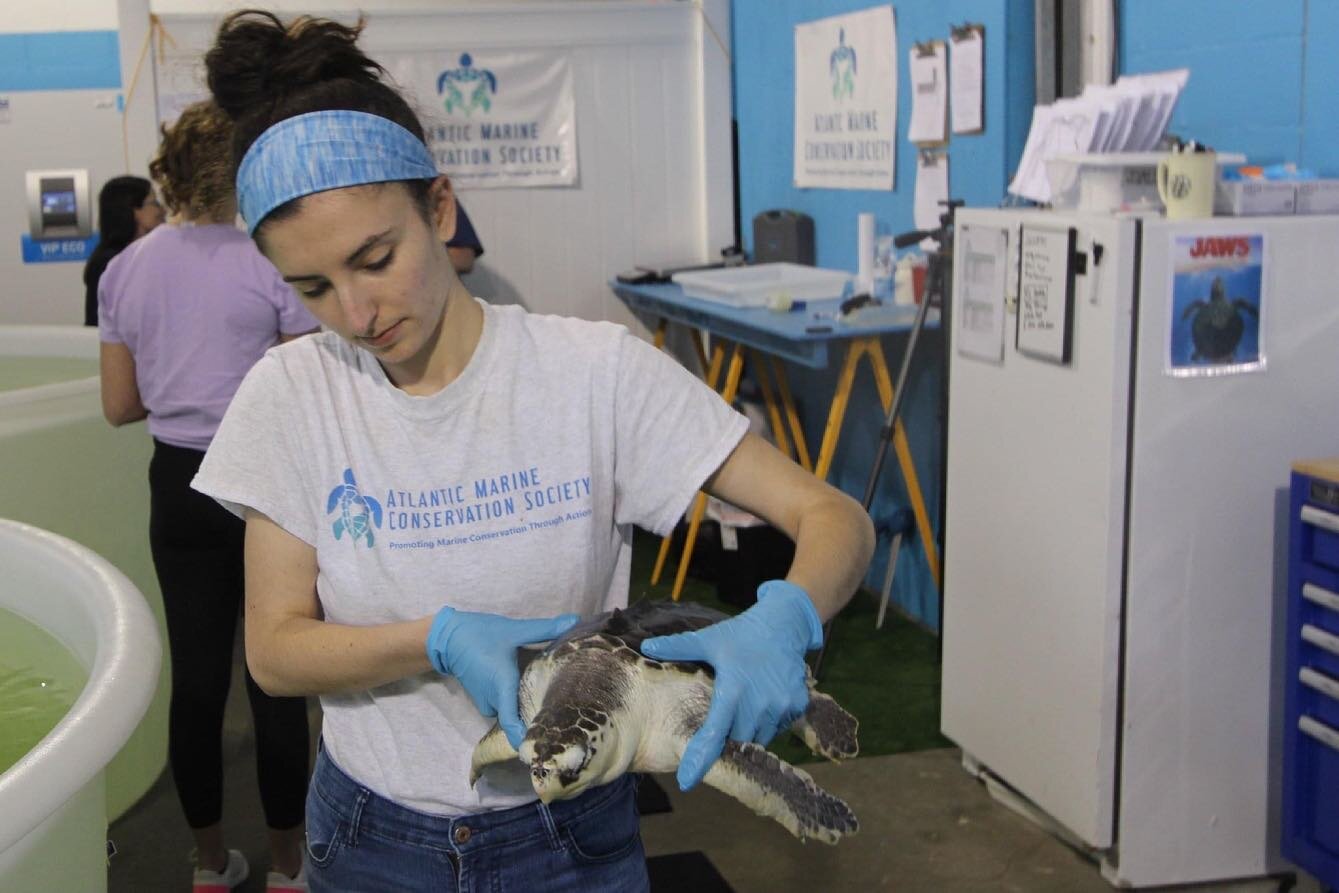And then there were none! Earlier this week, the last Kemp&rsquo;s ridley sea turtle patient in our Critical Care Facility was transported to our partners at @seaturtlerecovery (STR) to embark on the next phase of its rehabilitation journey. This spe