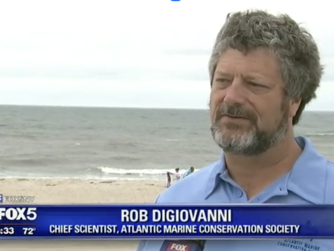 Fox 5: Mystery of Dying Whales Concerns Scientists