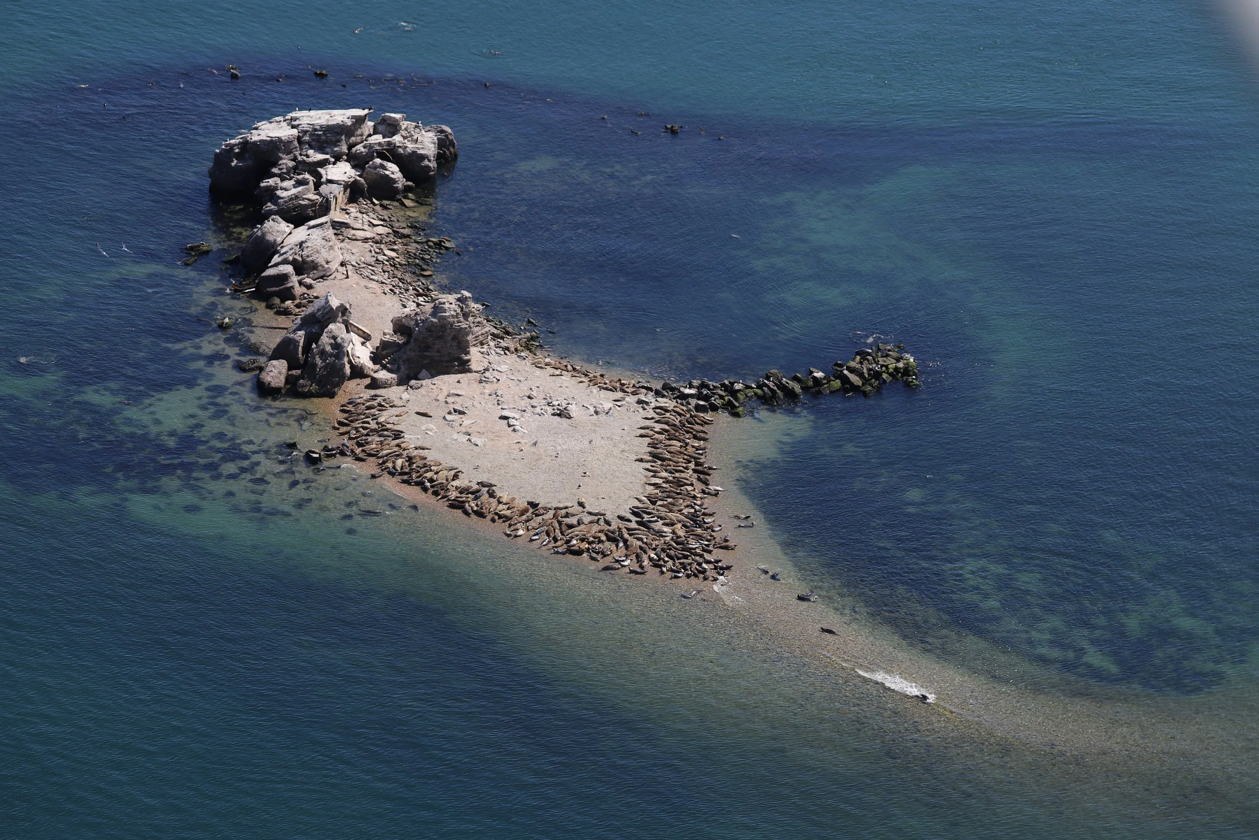 AMSEAS Aerial View of Fort Tyler