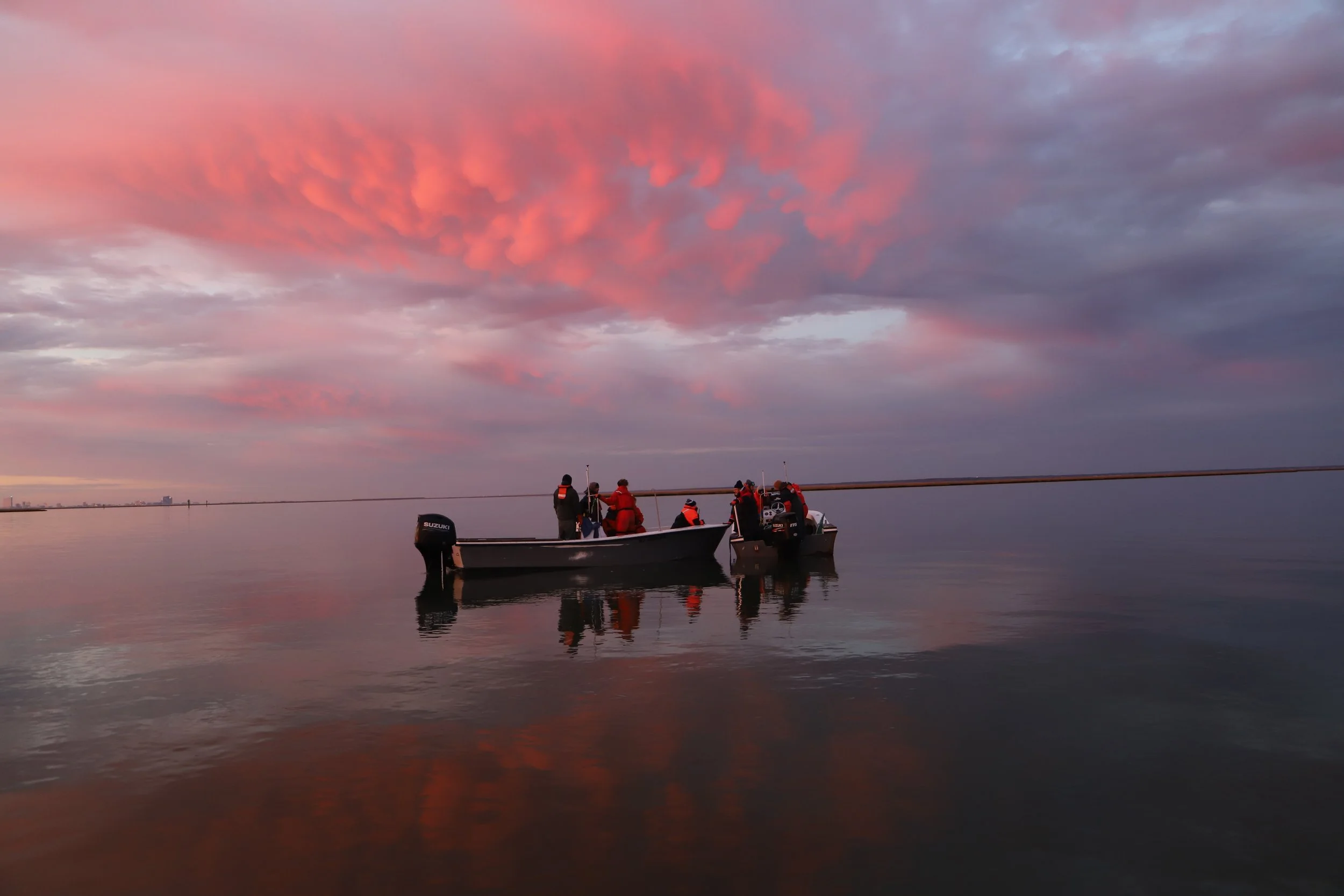 AMSEAS Sunrise Seal Capture Stockton University