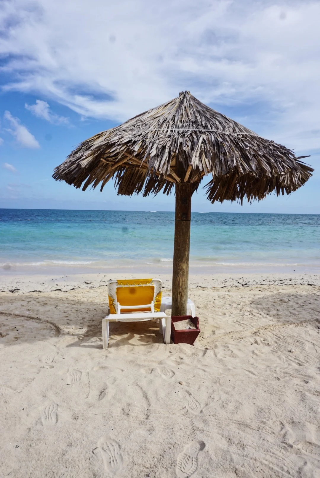 Perfect time for a beach trip!