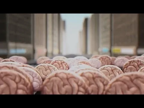 AFWI Brains Resilience still.jpg