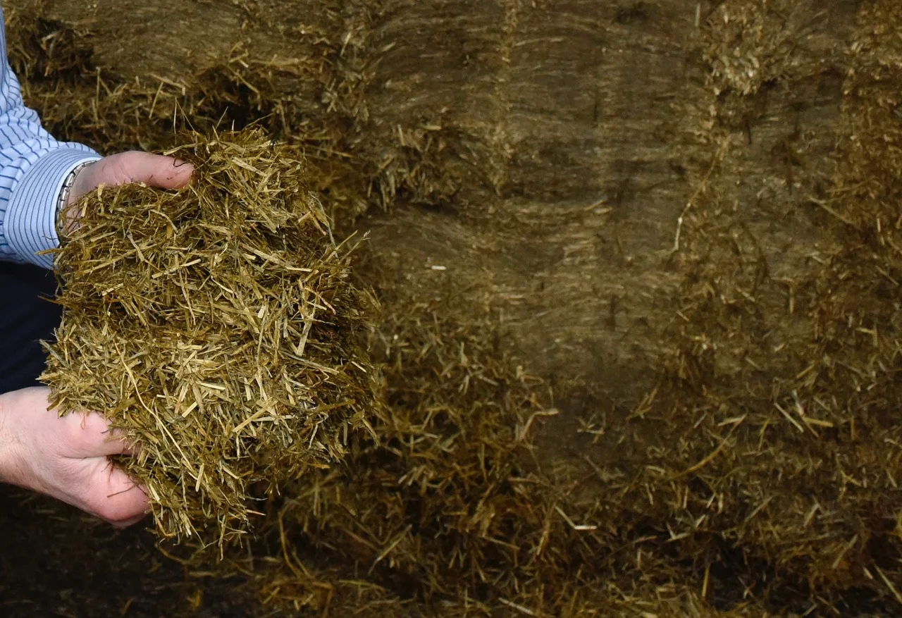 Can additive gains help future-proof farms?