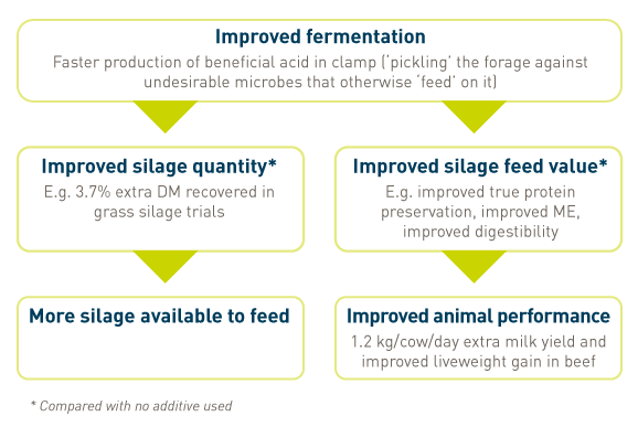 01817 treatment based on research C2C.png