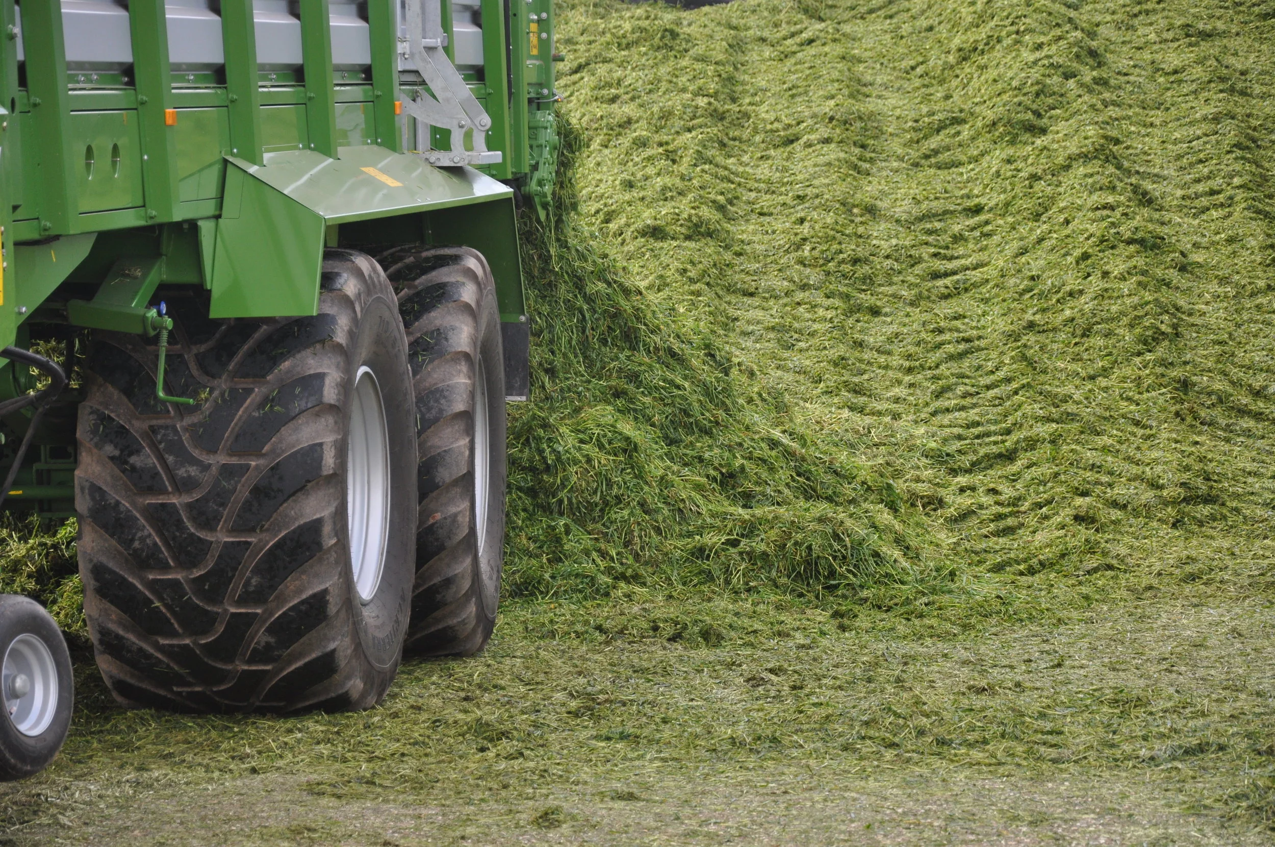 Clamp down on consolidation losses at ScotGrass
