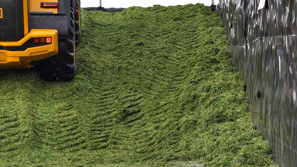 DF-APR-19-CUT2CLAMP-Consolidating.jpg