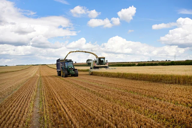 Flexible wholecrop offers quantity and quality option 