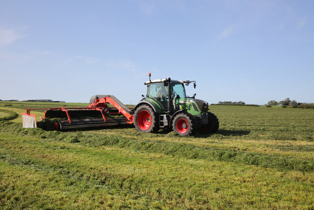 Multi-cut silage could help dairy farms weather the effects of drought