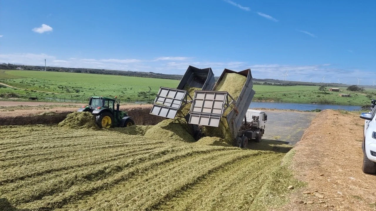 South African farmers visit Wales to hear about silage conservation