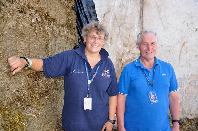 College striving for sustainability and self-sufficiency with silage