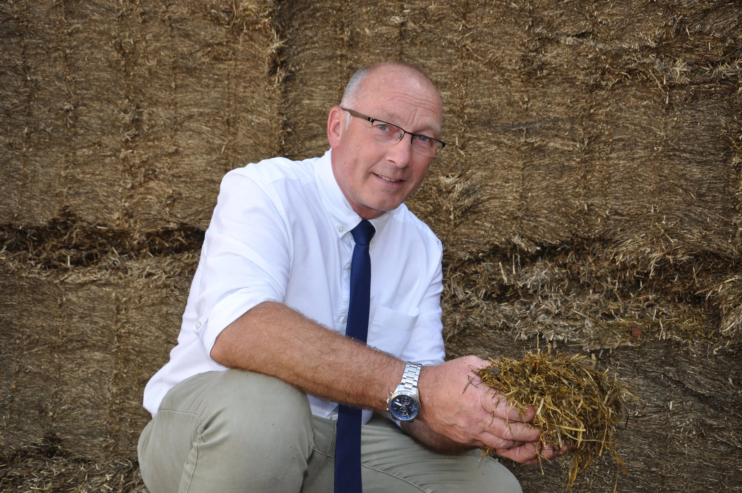 Why a proven additive belongs in this year’s grass silage plan