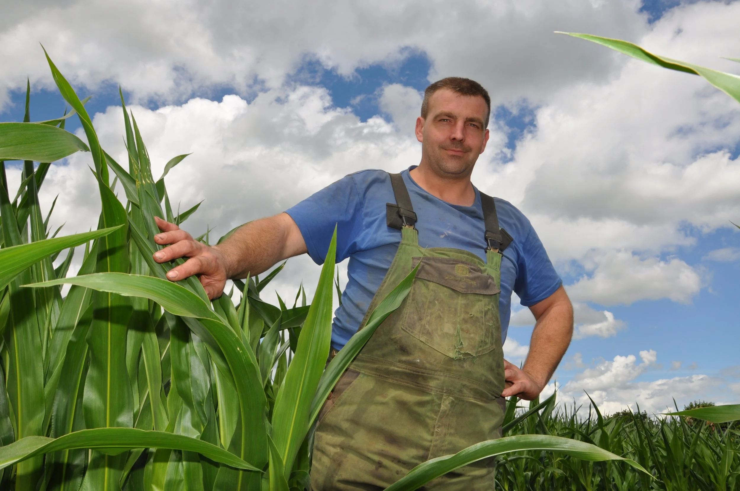 Follow the Maize - Mark Fitton Series
