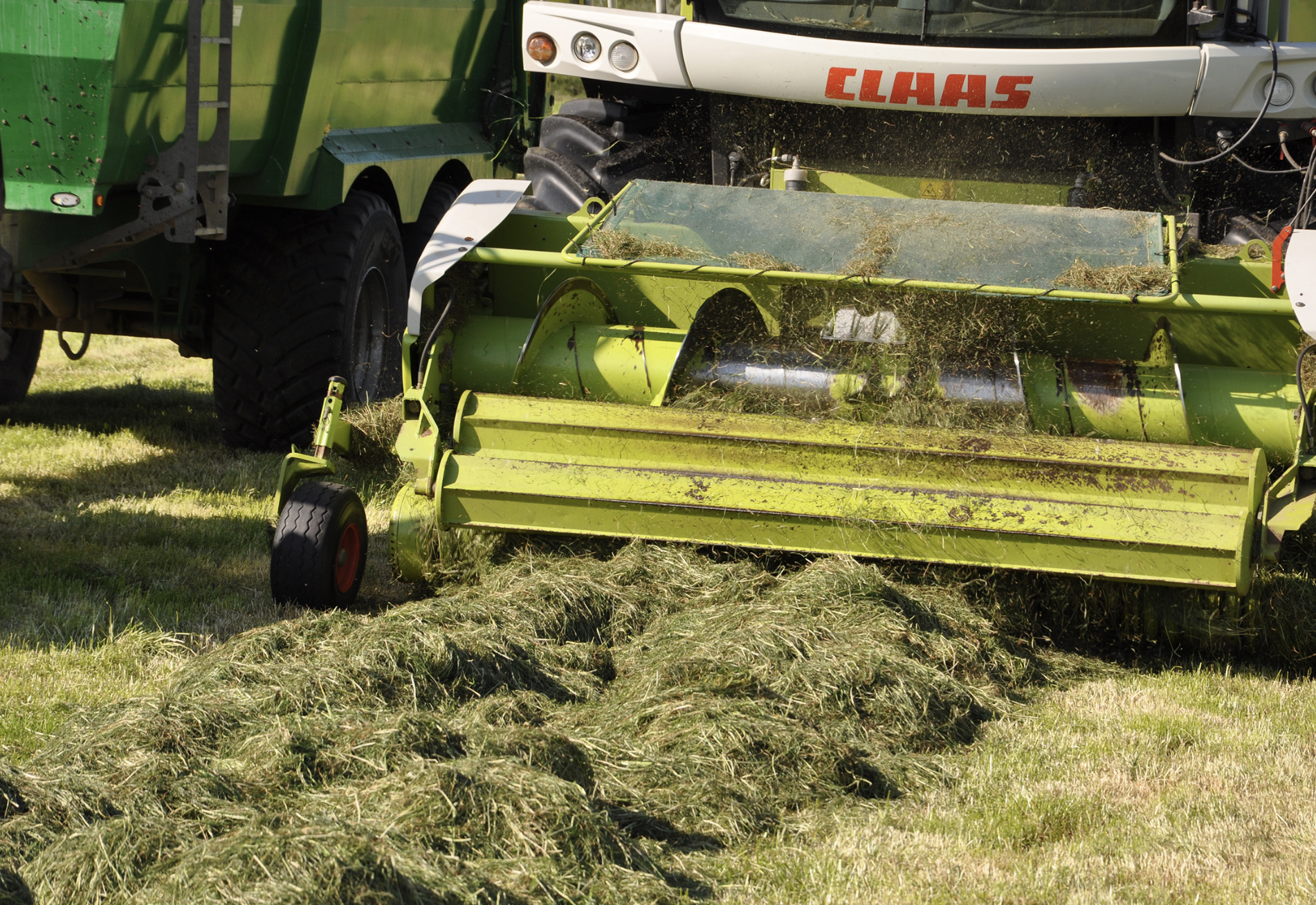 Plan ahead to make 2026 silage production more resilient to drought 