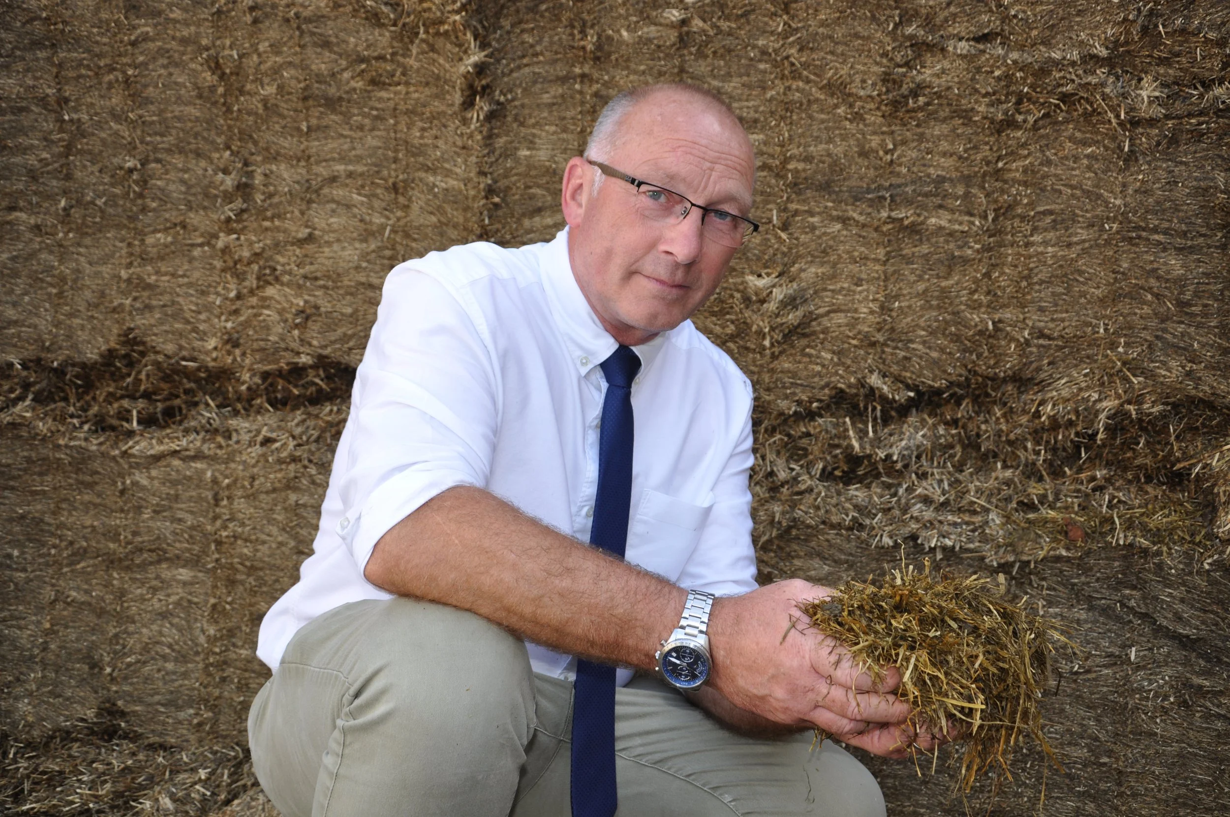 How to respond to lower milk price with better forage