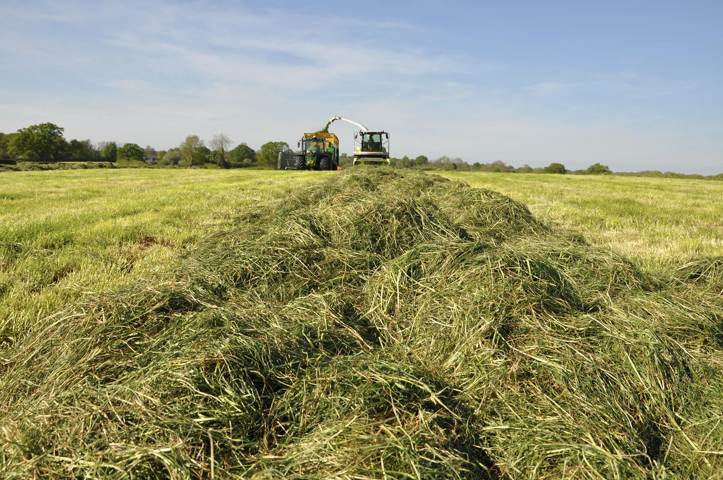New survey points to multi-cut silage putting dairy farmers ahead