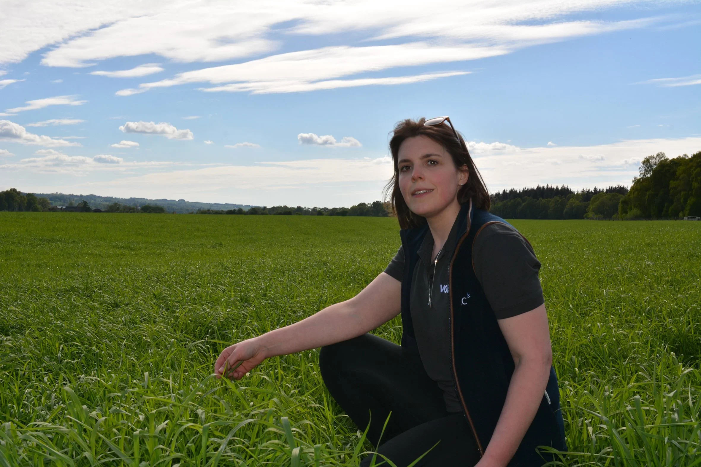 Adapt grass silage making to suit conditions
