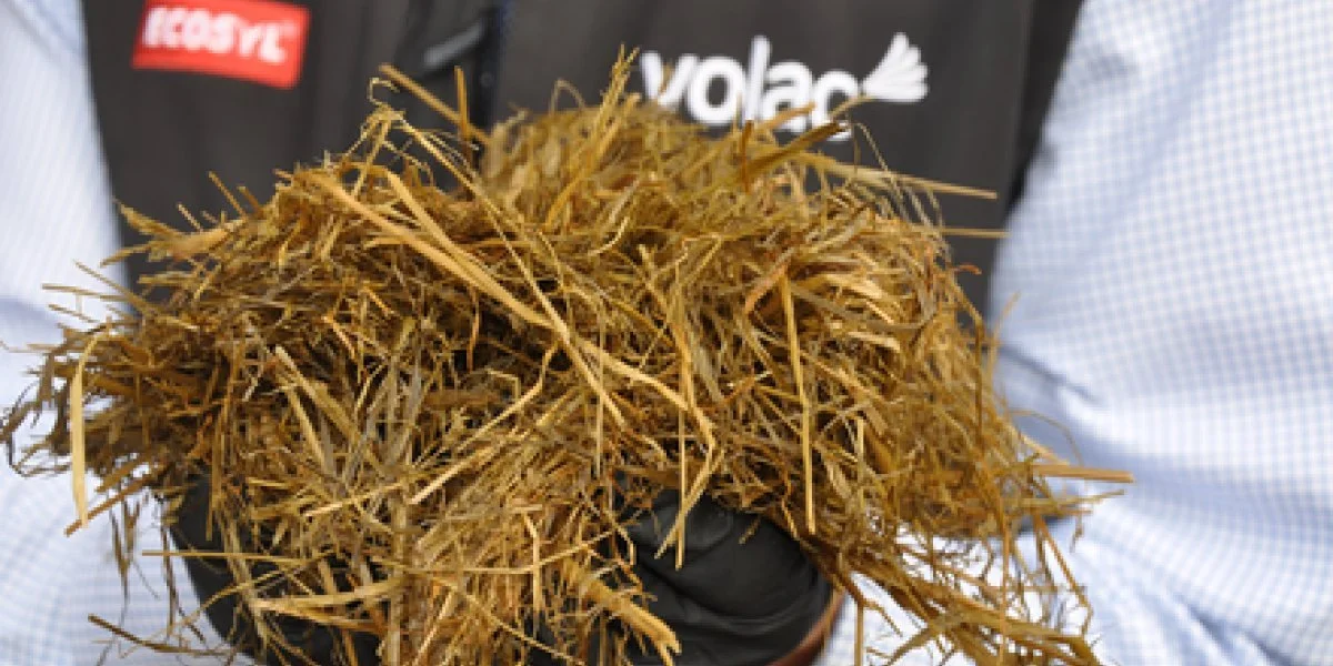 Catch up on the complete 'Steps to Superior Silage' series